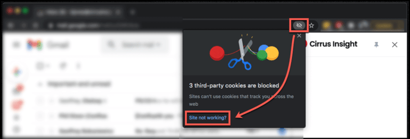 Screenshot of cookies not working