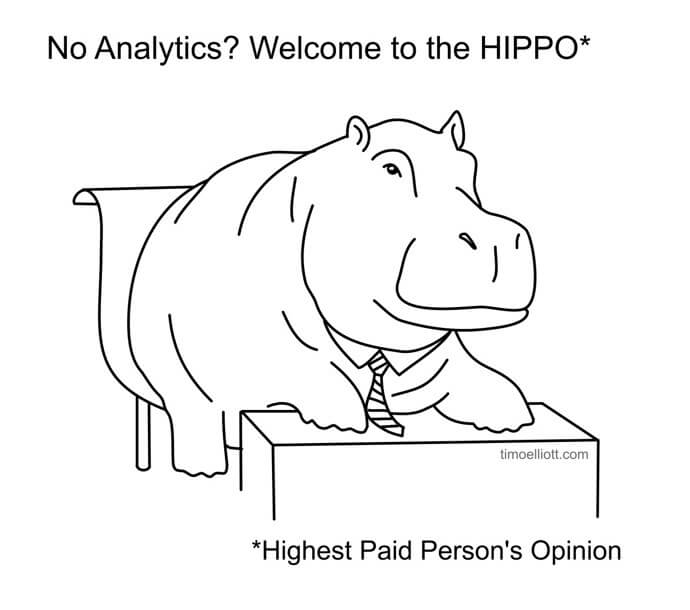 hippo